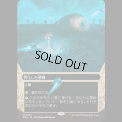 画像1: 石化した原野/Petrified Field [EOS]