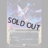 高級市場/High Market [EOS]