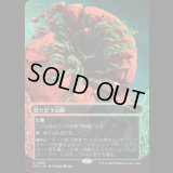 怒り狂う山峡/Raging Ravine [EOS]