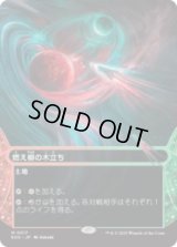 燃え柳の木立ち/Grove of the Burnwillows [EOS]