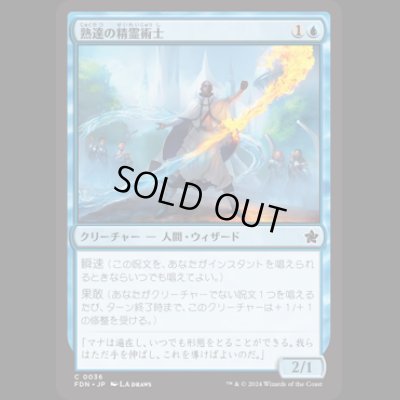 画像1: 熟達の精霊術士/Elementalist Adept [FDN]