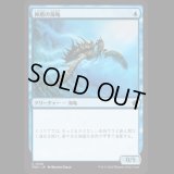 神盾の海亀/Aegis Turtle [FDN]