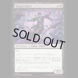 吸血鬼の魂呼び/Vampire Soulcaller [FDN]