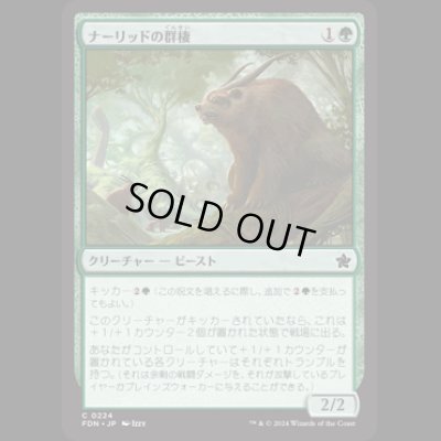 画像1: ナーリッドの群棲/Gnarlid Colony [FDN]