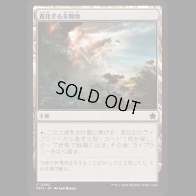 画像1: 進化する未開地/Evolving Wilds [FDN]