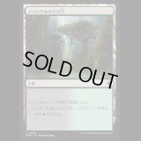 ジャングルのうろ穴/Jungle Hollow [FDN]