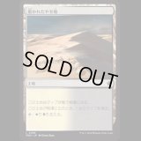 磨かれたやせ地/Scoured Barrens [FDN]