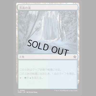 画像1: 茨森の滝/Thornwood Falls [FDN]