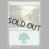 森/Forest (280) [FDN]