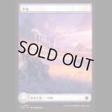 平地/Plains (282) [FDN]