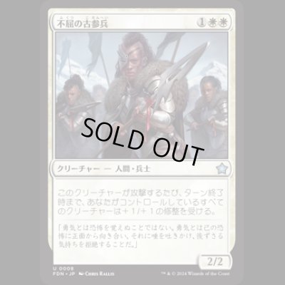 画像1: 不屈の古参兵/Dauntless Veteran [FDN]
