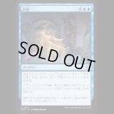 内省/Self-Reflection [FDN]