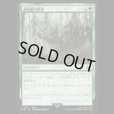 劇場艇の墜落/Airship Crash [FIN]