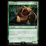 ギガントード/Gigantoad [FIN]
