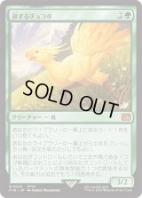 旅するチョコボ/Traveling Chocobo [FIN]