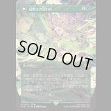 [木版画ボーダレス]  幻獣との交わり/Esper Origins (No.370) [FIN]