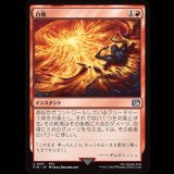 自爆/Self-Destruct [FIN]