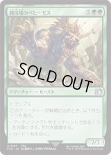 闘技場のベヒーモス/Coliseum Behemoth [FIN]