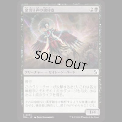 画像1: 金切り声の魂砕き/Screeching Soulbreaker [FRA]