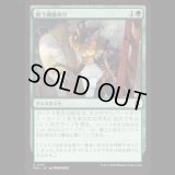 救う価値あり/Something Worth Saving [FRA]