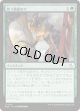 救う価値あり/Something Worth Saving [FRA]