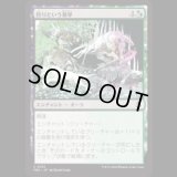 狩りという暴挙/Ferocity of the Hunt [FRA]