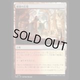 献身の広場/Dedicated Commons [FRA]