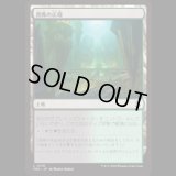 畏怖の広場/Formidable Commons [FRA]
