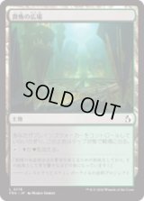 畏怖の広場/Formidable Commons [FRA]