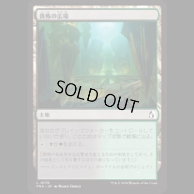 画像1: 畏怖の広場/Formidable Commons [FRA]