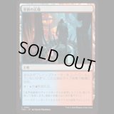 革新の広場/Innovative Commons [FRA]