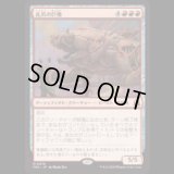 孔爪の巨像/Craterclaw Colossus  [FRA]
