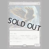 夜光のフェニックス/Darklight Phoenix  [FRA]
