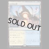 さびれた浜/Deserted Beach  [FRA]