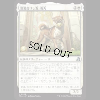 画像1: 寵愛受けし友、義丸/Yoshimaru, Beloved Companion  [FRA]