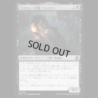 画像1: 苛まれし一匹狼、ウィンター/Winter, Tormented Loner [FRA]