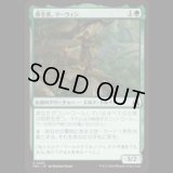 保全者、マーウィン/Marwyn, the Preserver  [FRA]