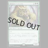 無効皮のフェロックス/Nullhide Ferox [GRN]