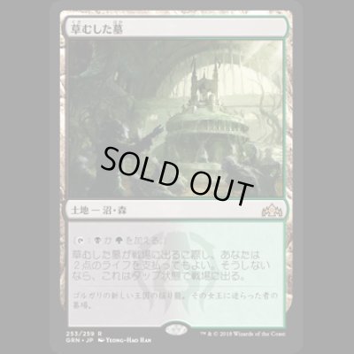 画像1: [FOIL] 草むした墓/Overgrown Tomb [GRN]