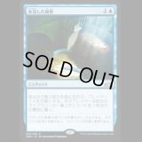 水没した秘密/Drowned Secrets [GRN]
