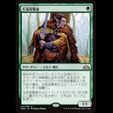 生皮収集家/Pelt Collector [GRN]