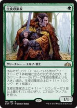 生皮収集家/Pelt Collector [GRN]