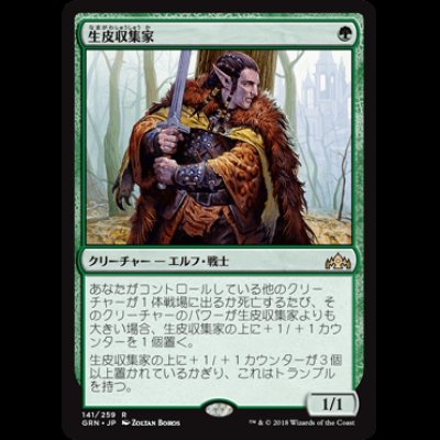 画像1: 生皮収集家/Pelt Collector [GRN]