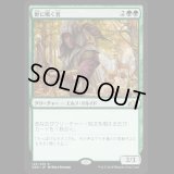 [FOIL] 獣に囁く者/Beast Whisperer　[GRN]