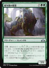 樹木園の精霊/Arboretum Elemental [GRN]