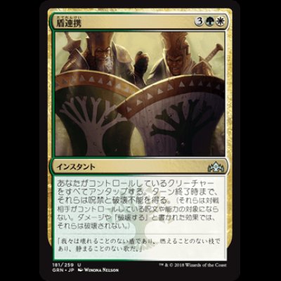 画像1: 盾連携/Join Shields  [GRN]