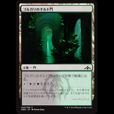 画像1: ゴルガリのギルド門/Golgari Guildgate (249) [GRN]