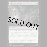 谷間へのなだれ込み/Rage into the Valley  [HOB]