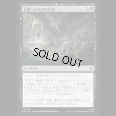 画像1: 谷間へのなだれ込み/Rage into the Valley  [HOB]