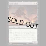 餓え狂う魔狼/Ravening Warg  [HOB]